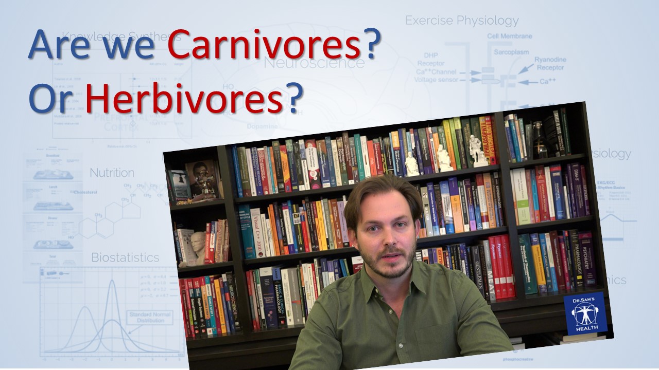 Carnivores vs Herbivores